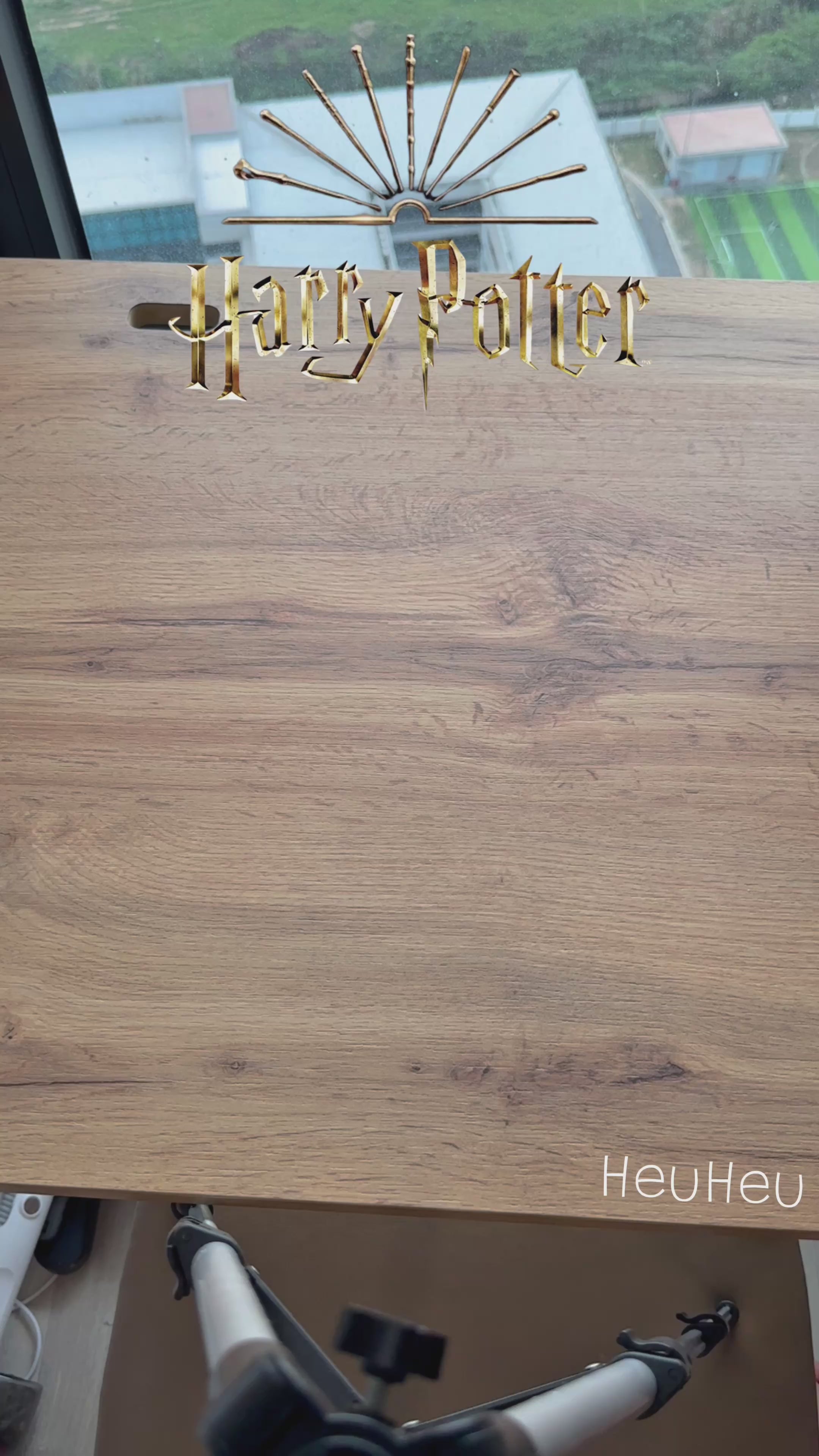 Magic School T-Shirt with Embroidered Four House Logos